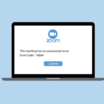 A peroson having trouble of Zoom Error Code 10004 during a meeting session.